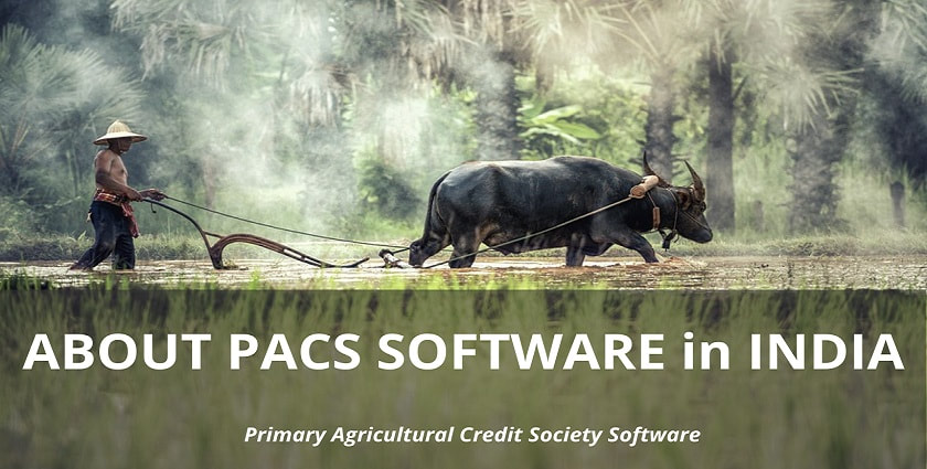 PACS Software in India
